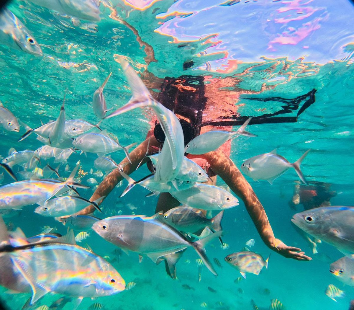 Private arrival and transfer service, Punta Cana