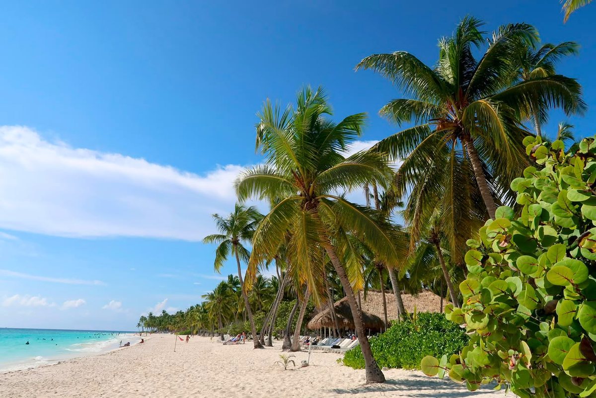 Saona and Catalina island experiences